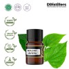 2ML GS 
